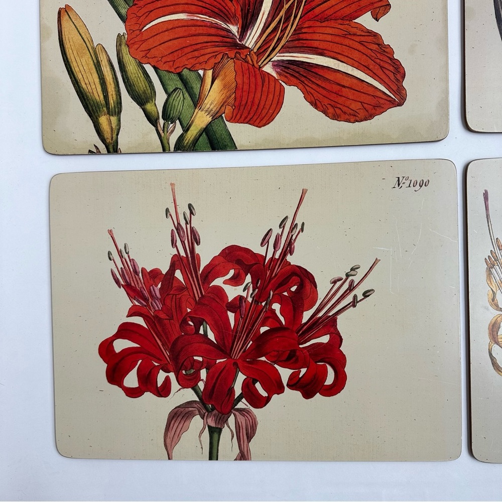 Cala Home Hardboard Cork Backed Floral Placemats from Colonial Williamsburg - Picture 4 of 13